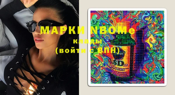 apvp Няндома