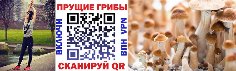 Галлюциногенные грибы мухоморы  Красноперекопск 